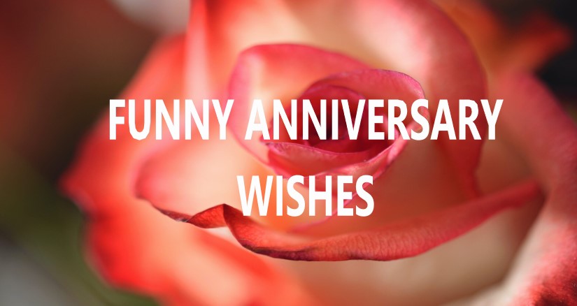 Funny Anniversary wishes, messages, quotes