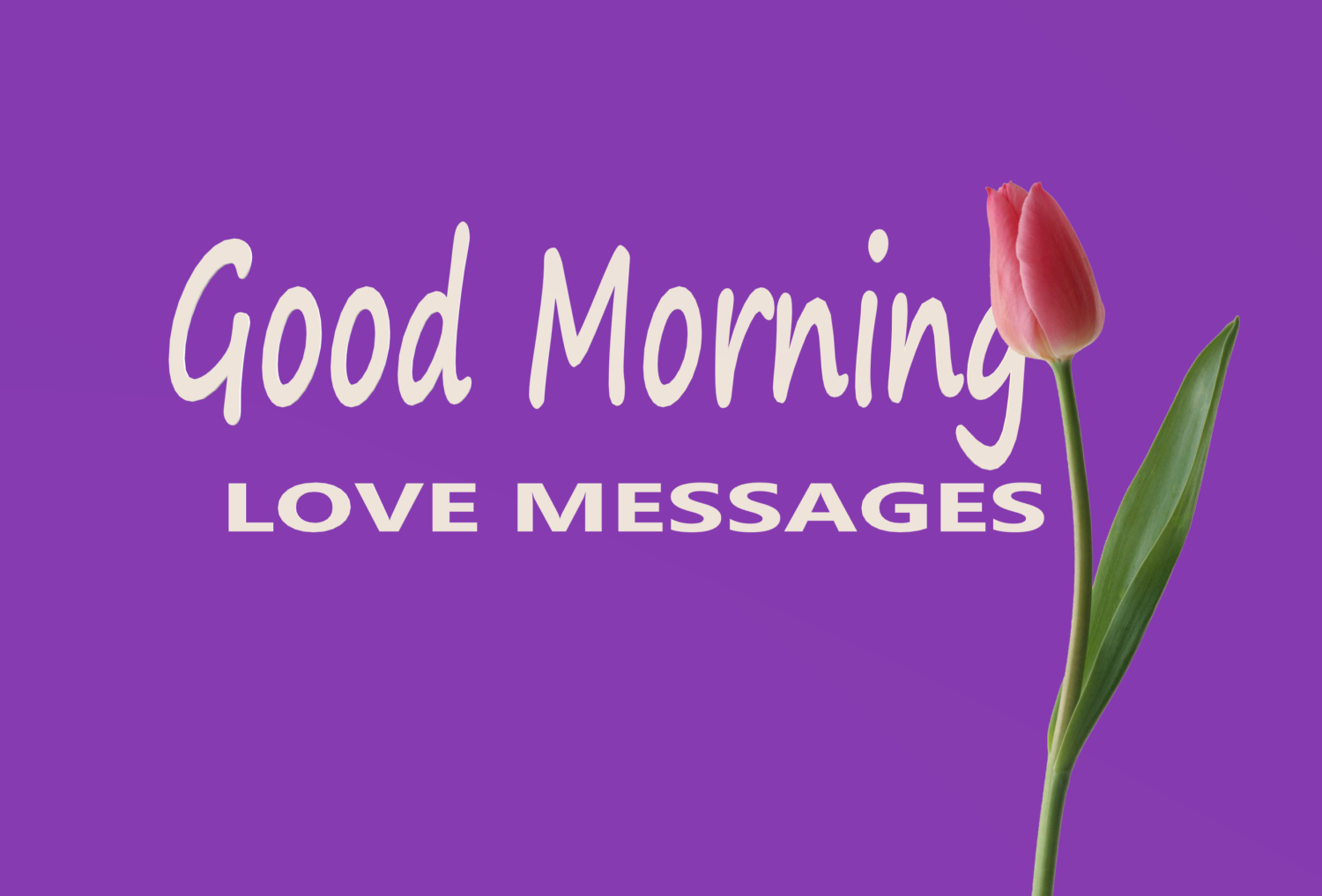 Good Morning Love Messages and Wishes